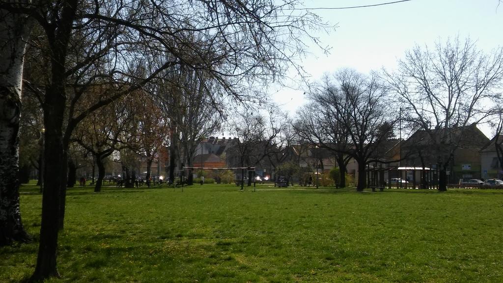 Szamoca * Szegedin