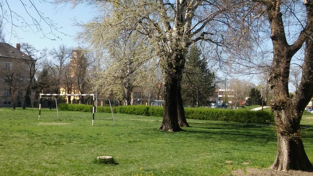 Szamoca Apartment